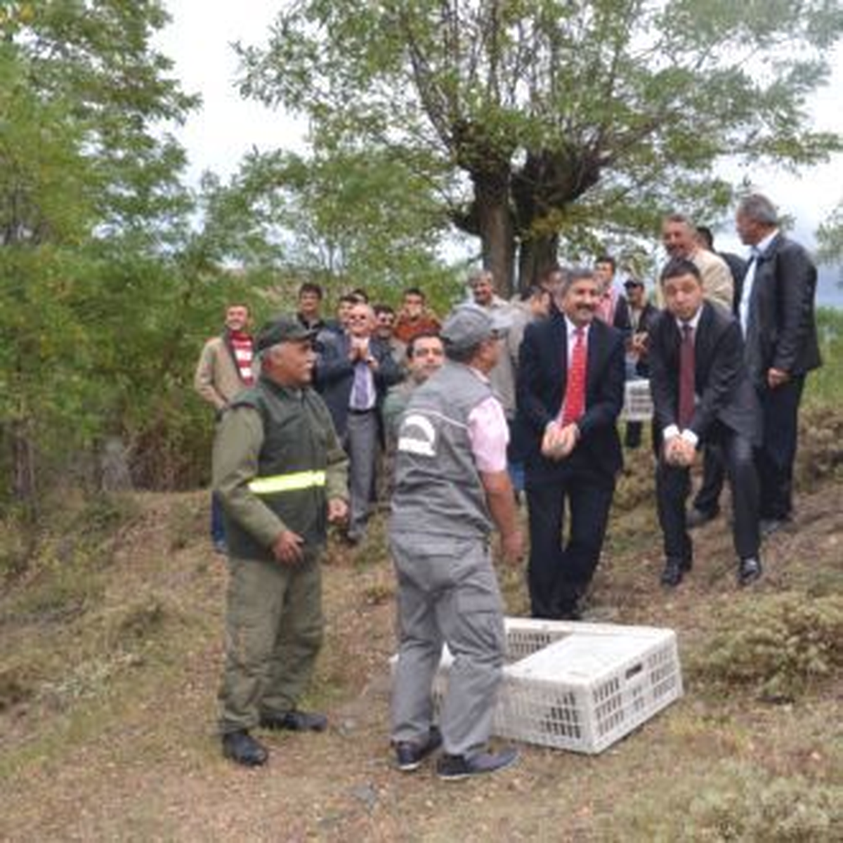Kastamonu\'da 250 Adet Keklik Doğaya Bırakıldı