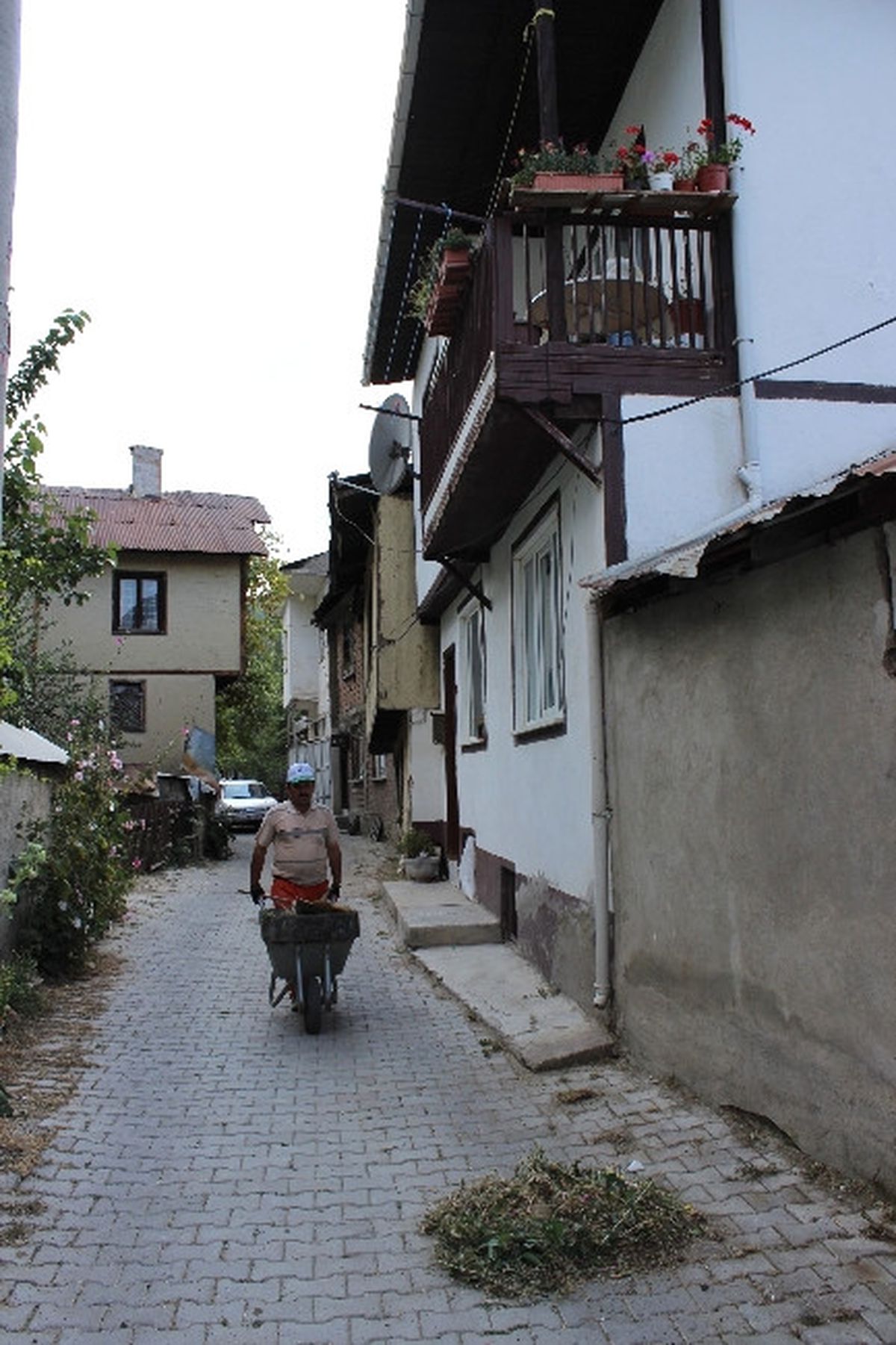 Mudurnu\'da Sonbahar Temizliği Başladı