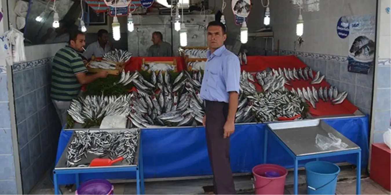 Su Ürünlerinde Av Yasağının Sona Ermesi