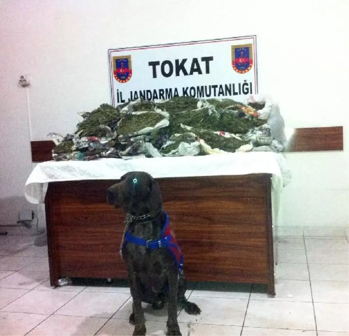 Taksi Müşterisinin Valizinden 38 Kilo Esrar Çıktı
