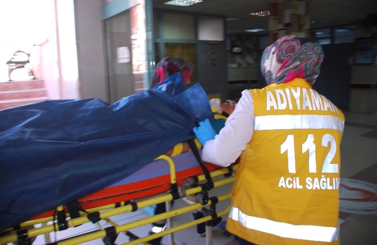 Adıyaman\'da, Eşek Dehşet Saçtı: 1 Ağır Yaralı