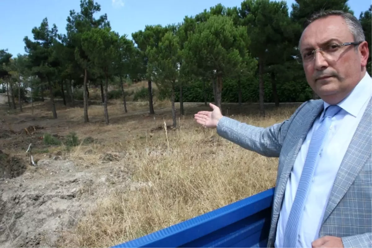 AK Parti\'den Nilüfer\'de Stadyum İçin Ağaçların Kesilmesine Tepki