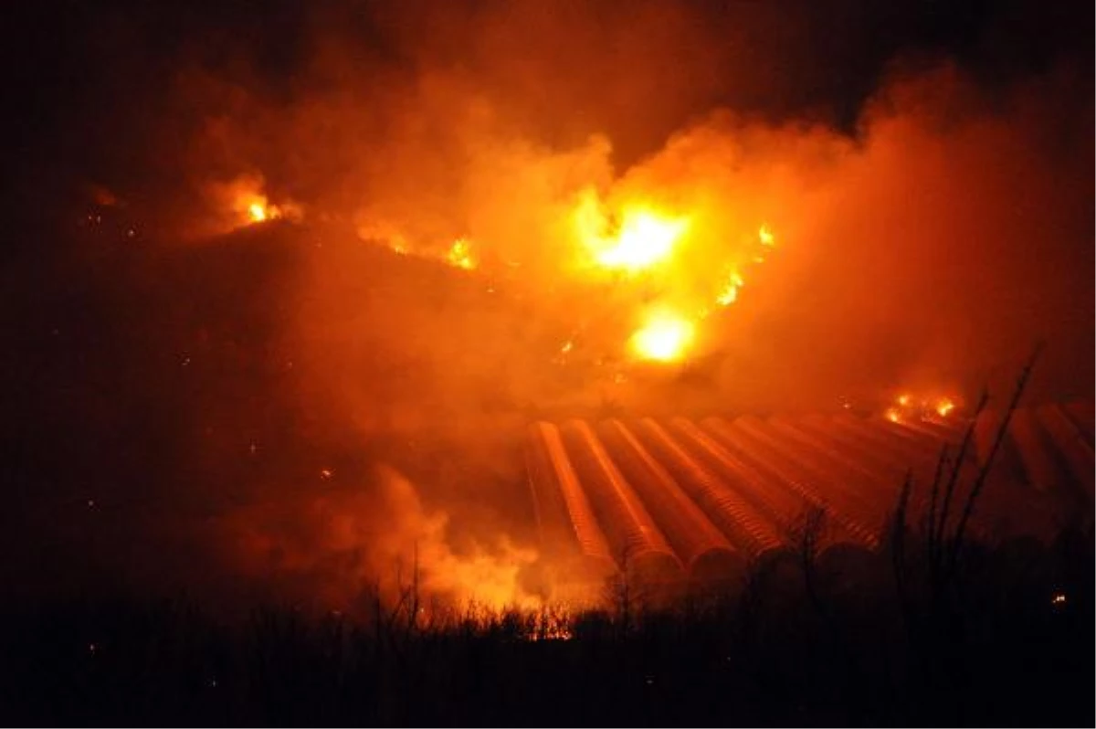 Alanya\'da Orman Yangını: 6 Ev Yandı, 200 Ev Tahliye Edildi