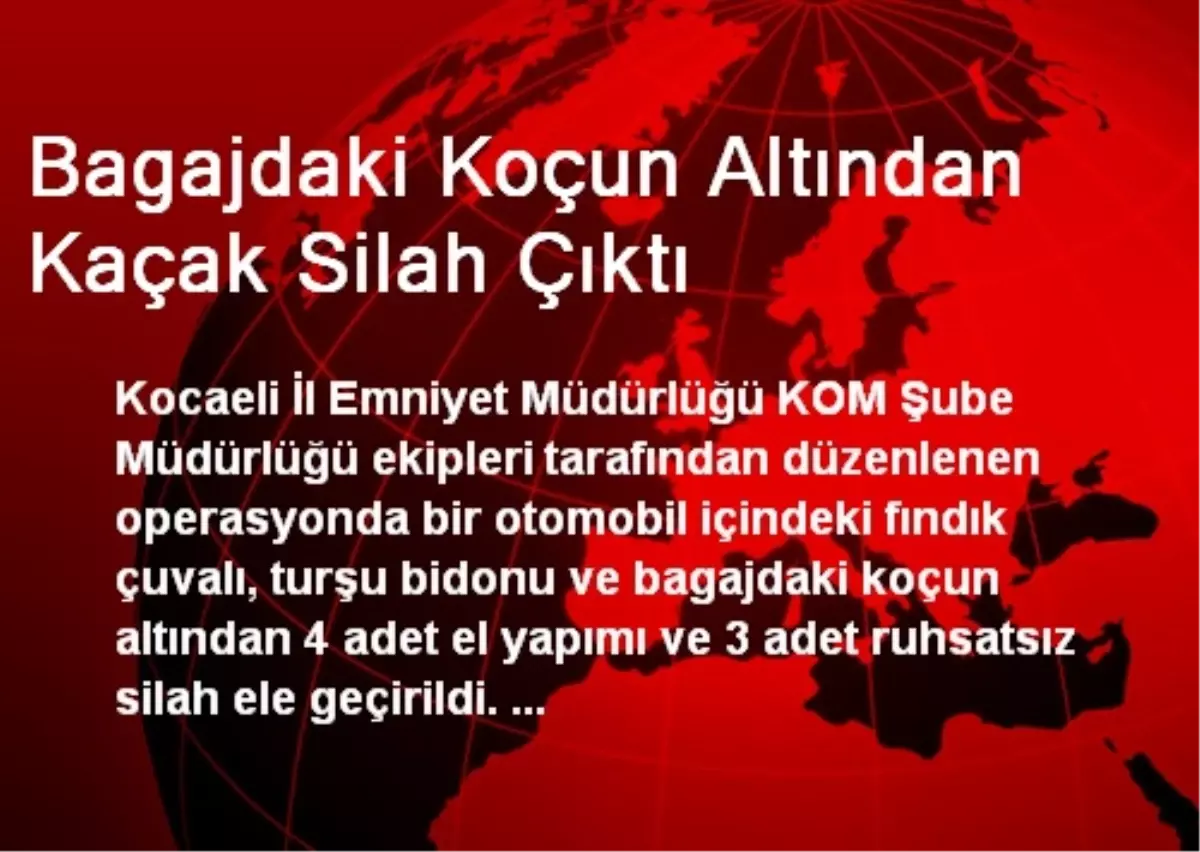 Bagajdaki Koçun Altından Kaçak Silah Çıktı