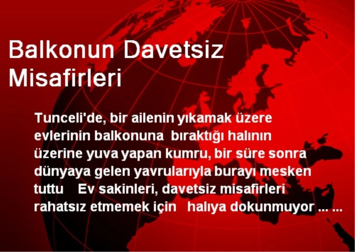 Balkonun Davetsiz Misafirleri