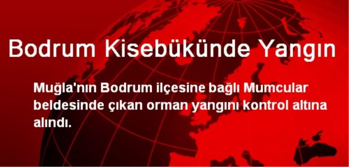 Bodrum Kisebükünde Yangın