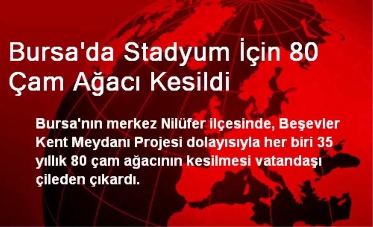 Bursa\'da Stadyum İçin 80 Çam Ağacı Kesildi
