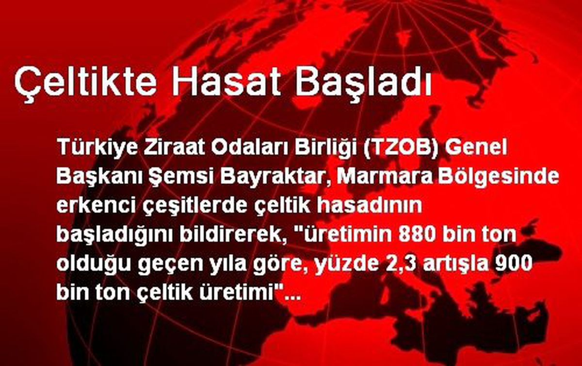 Çeltikte Hasat Başladı, Bu Yıl Üretimde Artış Var