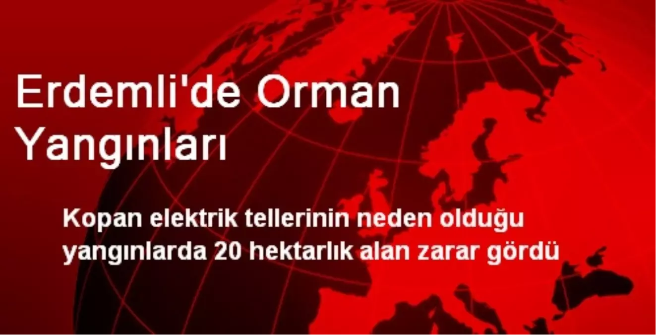 Erdemli\'de 20 Hektarlık Arazi Zarar Gördü