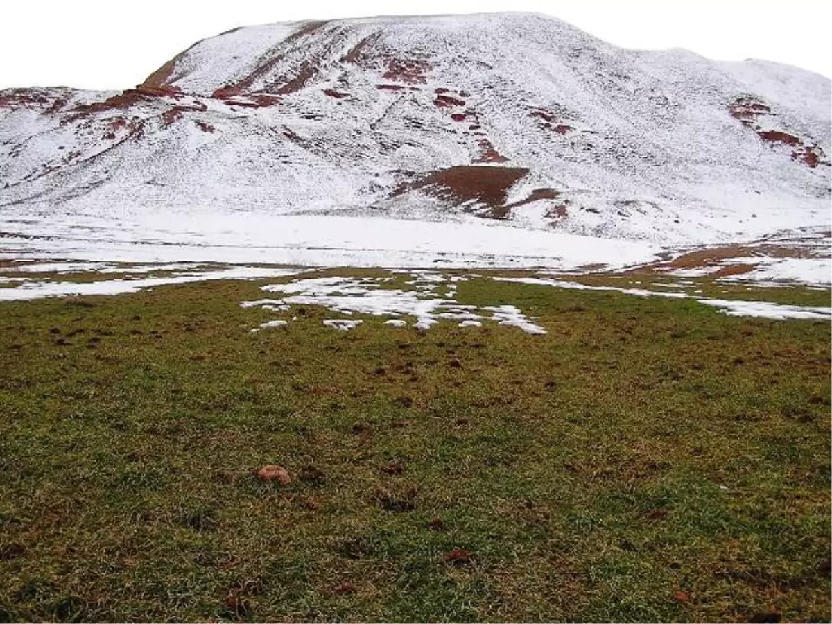 Erzincan\'a Mevsimin İlk Karı Yağdı