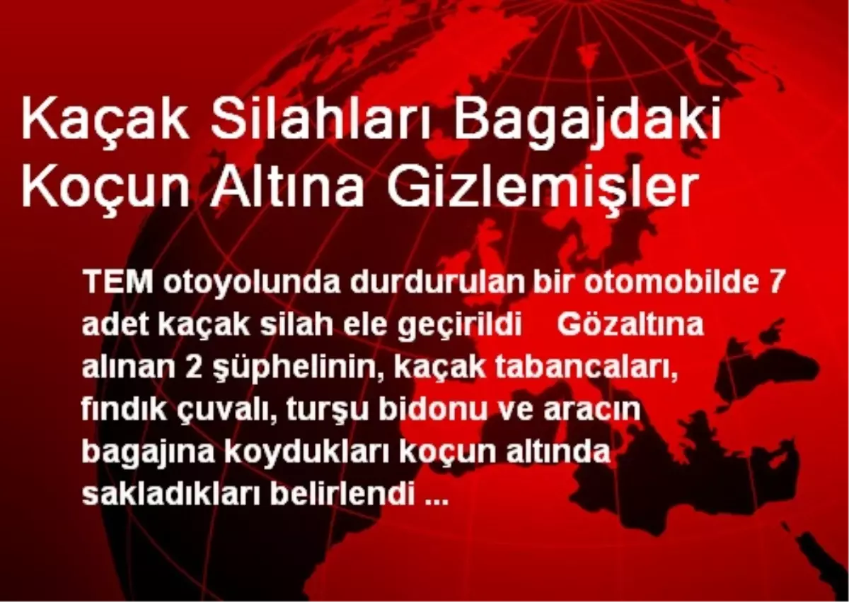 Kaçak Silahları Bagajdaki Koçun Altına Gizlemişler