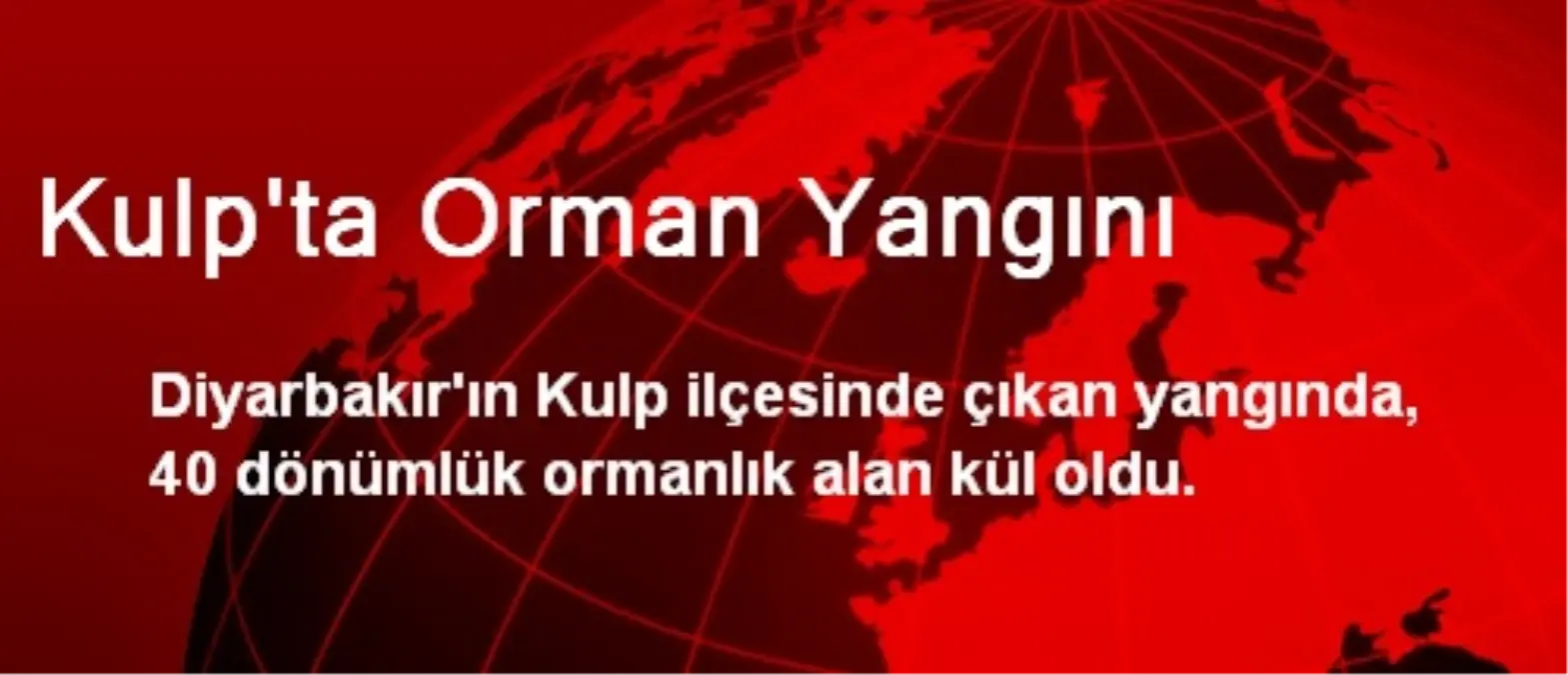 Kulp\'ta Orman Yangını