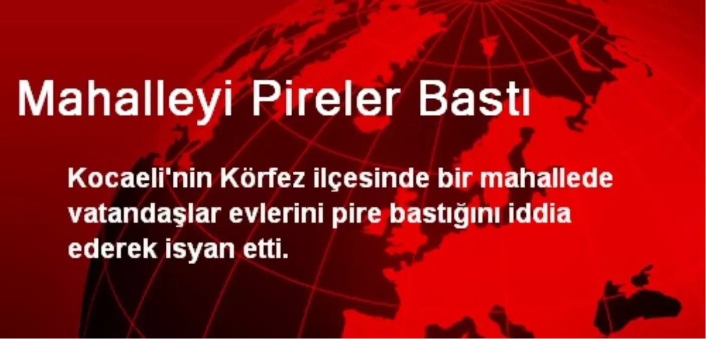 Mahalleyi Pireler Bastı