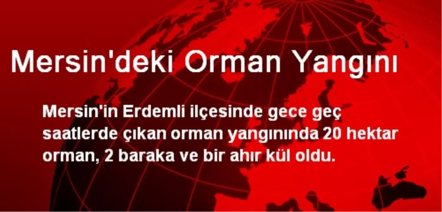 Mersin\'deki Orman Yangını