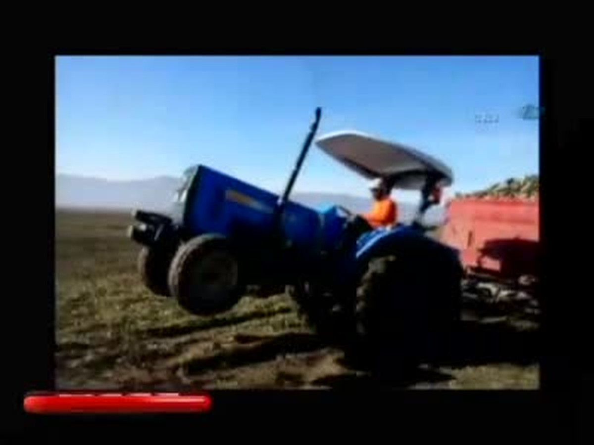 Çiftçi Traktörünü At Gibi Şaha Kaldırdı