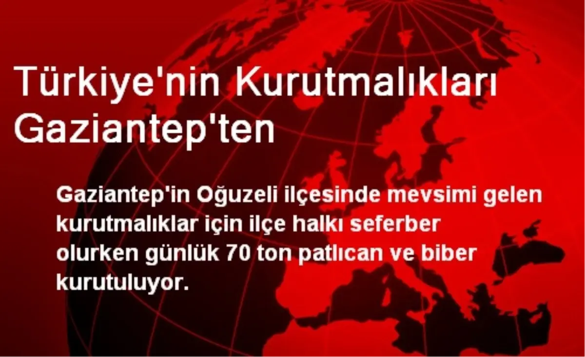 Türkiye\'nin Kurutmalıkları Gaziantep\'ten