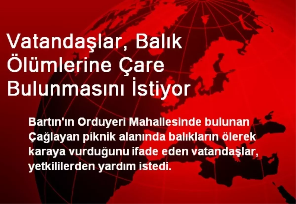 Vatandaşlar, Balık Ölümlerine Çare Bulunmasını İstiyor