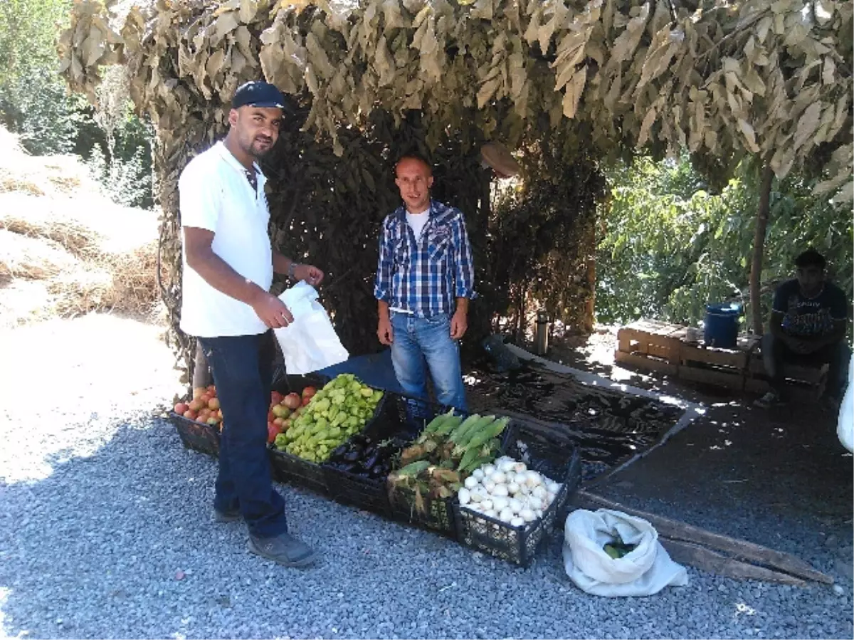 Yetiştirdiği Sebzeleri Satarak Kardeşlerini Okutuyor