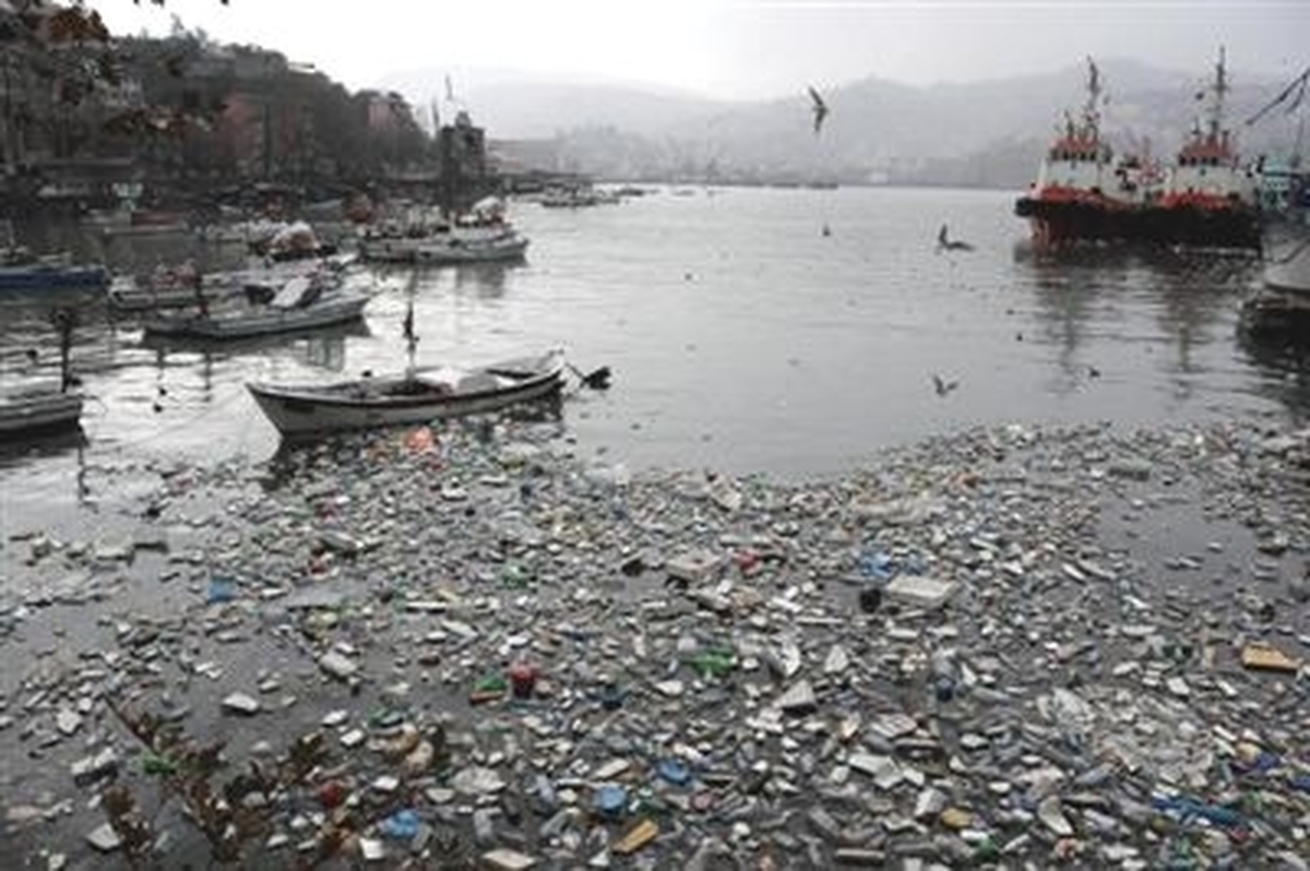 Zonguldak Limanında Kirlilik