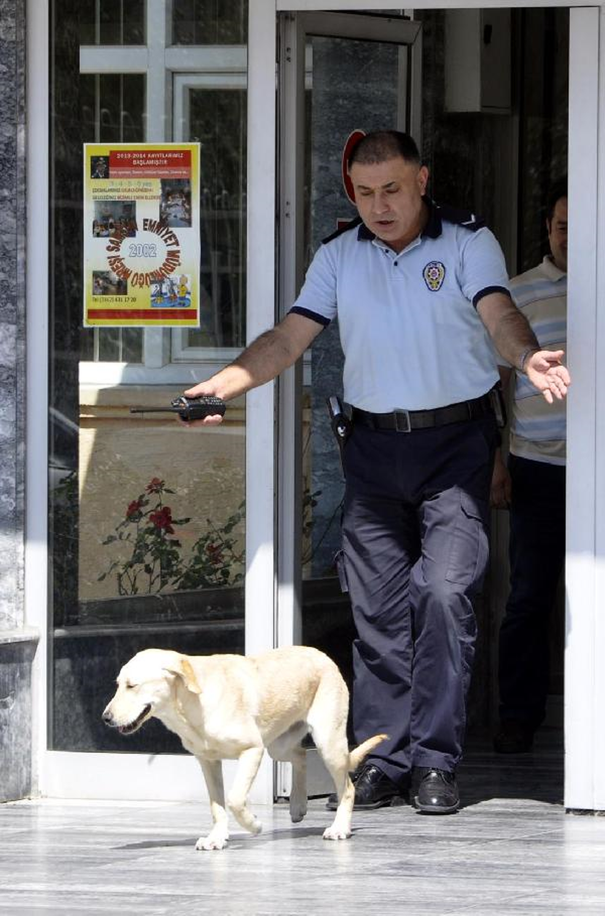 Beklenmedik Misafir Polise Zor Anlar Yaşattı