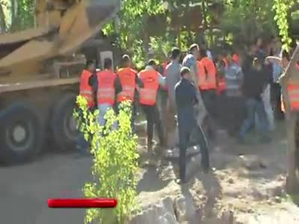 CHP\'li Vekil Ağaç Sökülmesini Böyle Engellemek İstedi