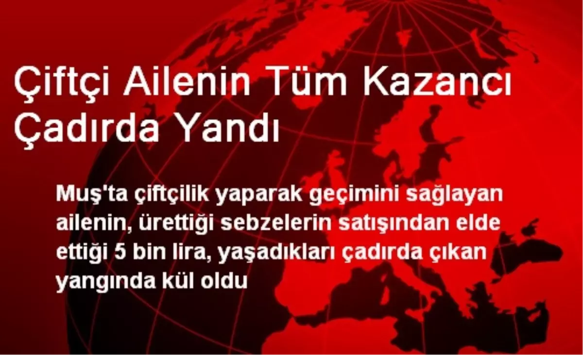 Çiftçi Ailenin Tüm Kazancı Çadırda Yandı