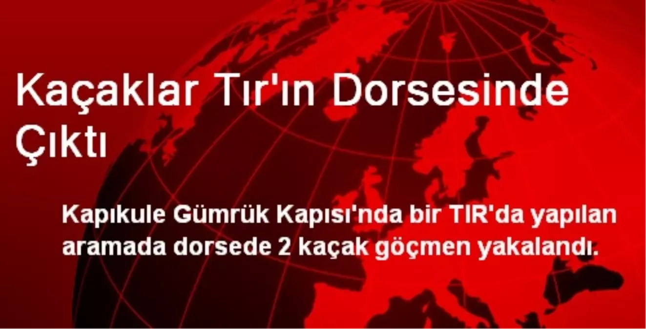 Kaçaklar Tır\'ın Dorsesinde Çıktı