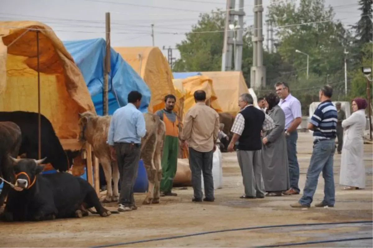 Kartepe Kurban Pazarı Haftaya Açılıyor