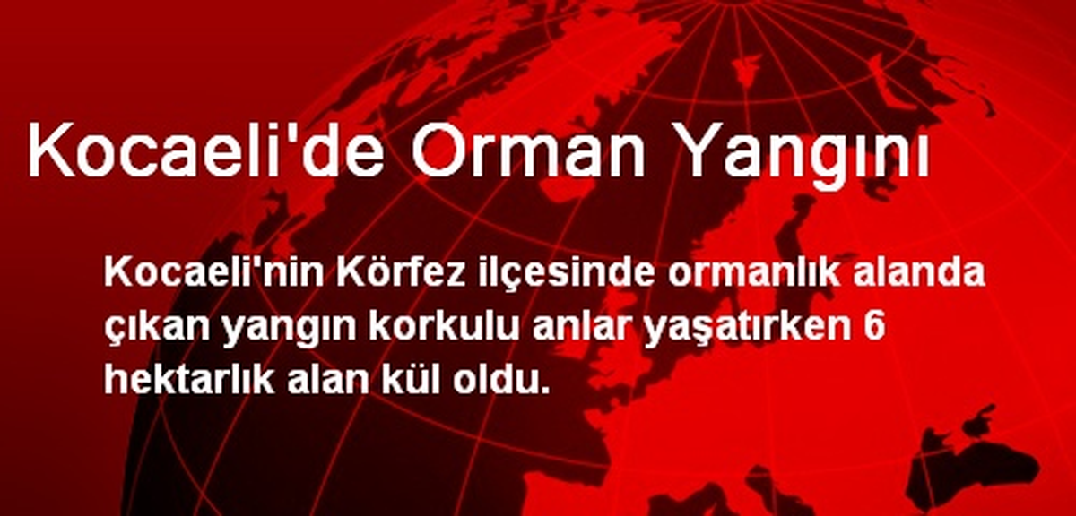 Kocaeli\'de Orman Yangını