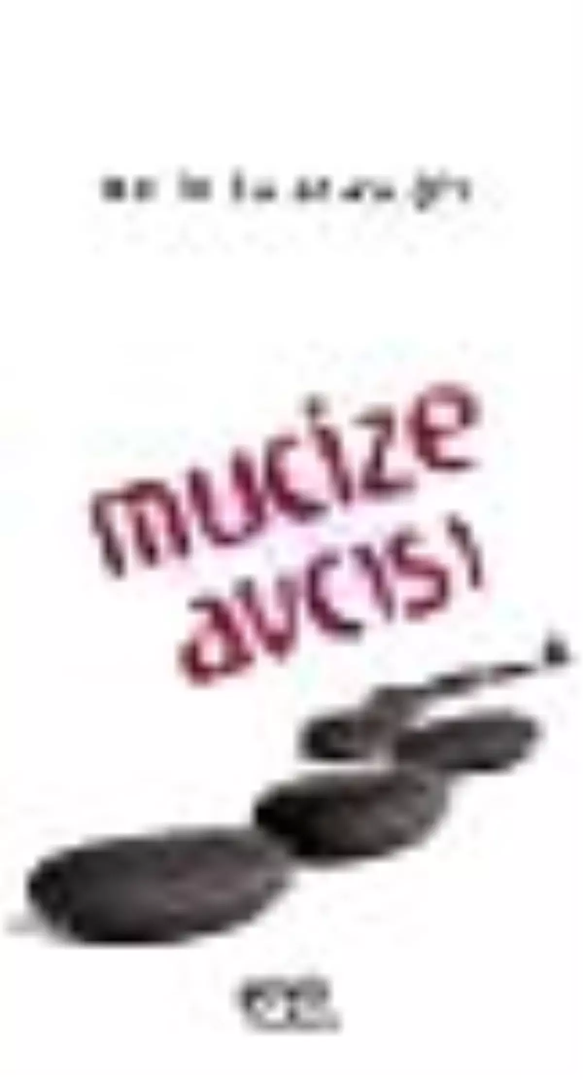 Mucize Avcısı Kitabı