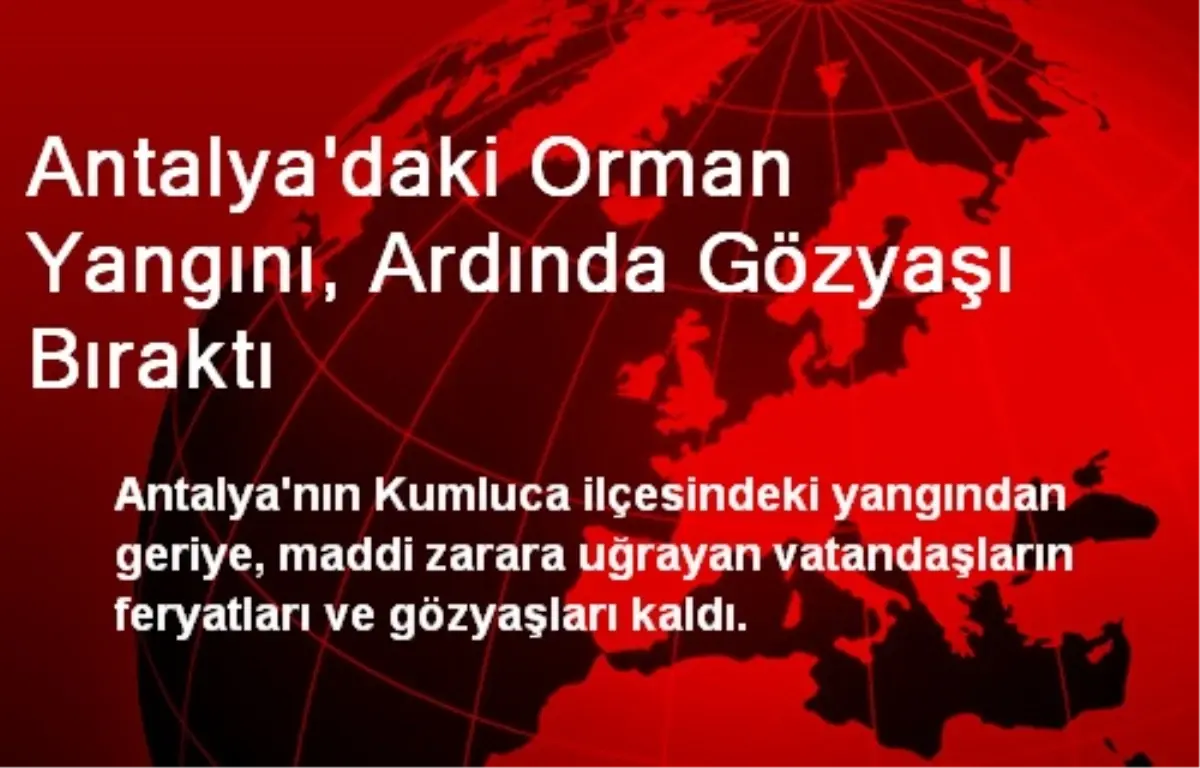 Antalya\'daki Orman Yangını, Ardında Gözyaşı Bıraktı