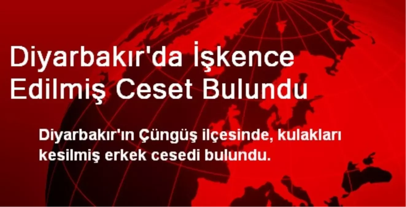 Diyarbakır\'da İşkence Edilmiş Ceset Bulundu