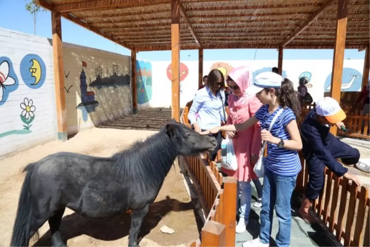 Gönüllü Bakıcılar Sertifika Aldı