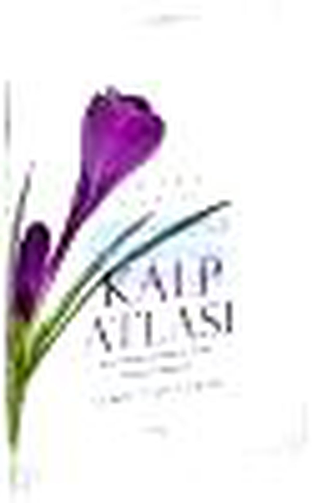 Kalp Atlası Kitabı