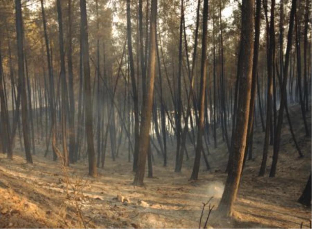 Kumluca\'daki Orman Yangını