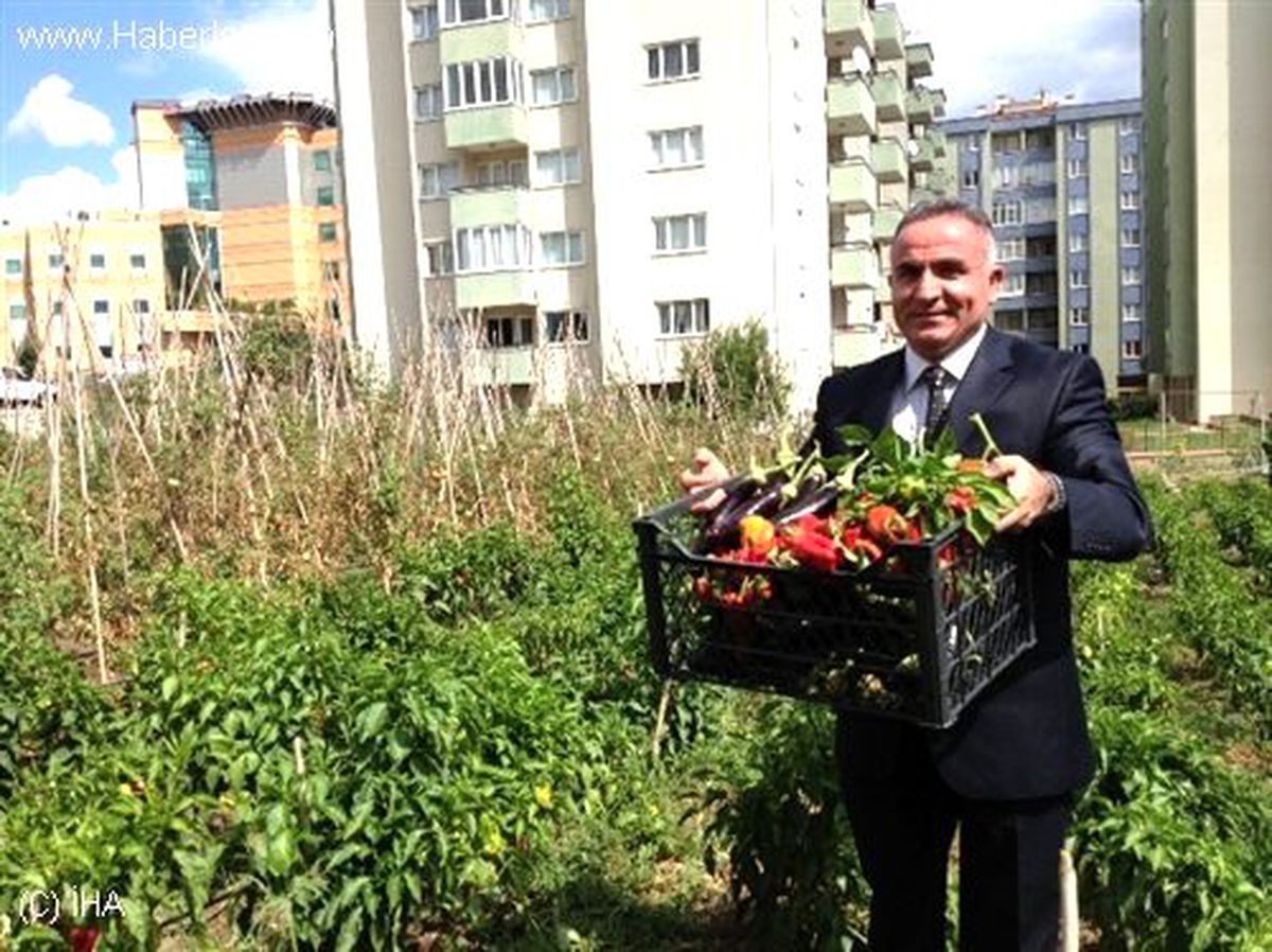 17 Milyon Liralık Arsada Kebap İçin İsot Yetiştiriyor
