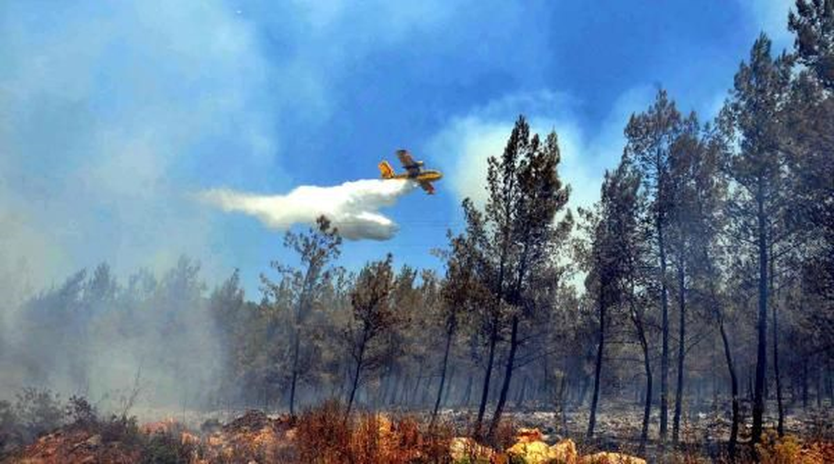 Bodrum\'da İki Farklı Noktada Çıkan Yangın Söndürüldü