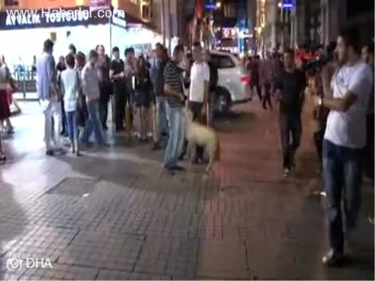 * İstiklal Caddesi\'nde Bir Vatandaşın Yanında Gezdirdiği 9 Aylık Kuzu İlginç Görüntülere Sahne Oldu.