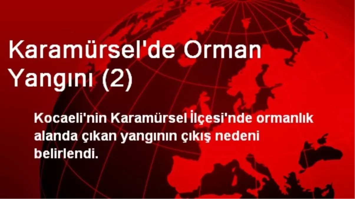 Karamürsel\'de Orman Yangını (2)