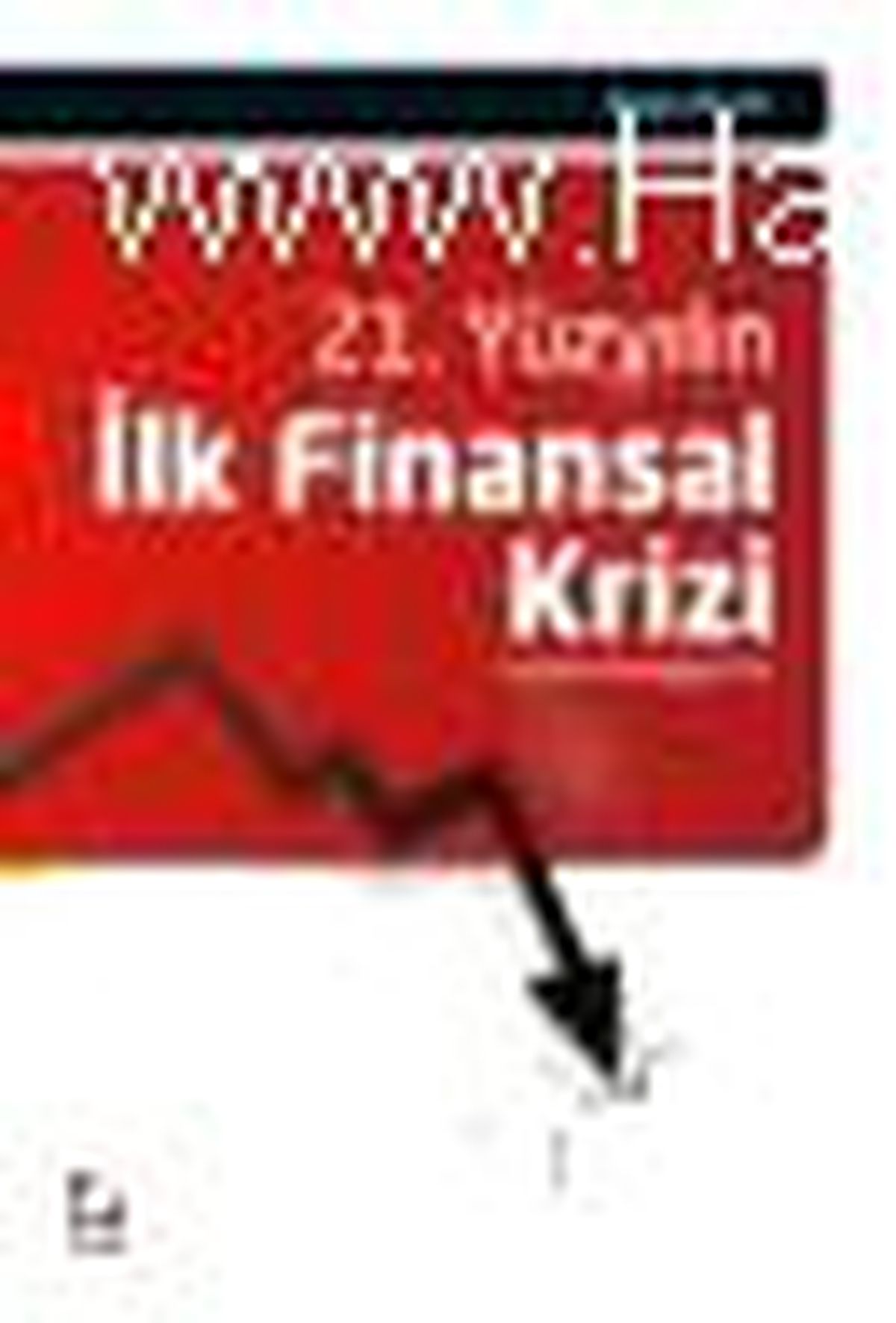 21. Yüzyılın İlk Finansal Krizi Kitabı