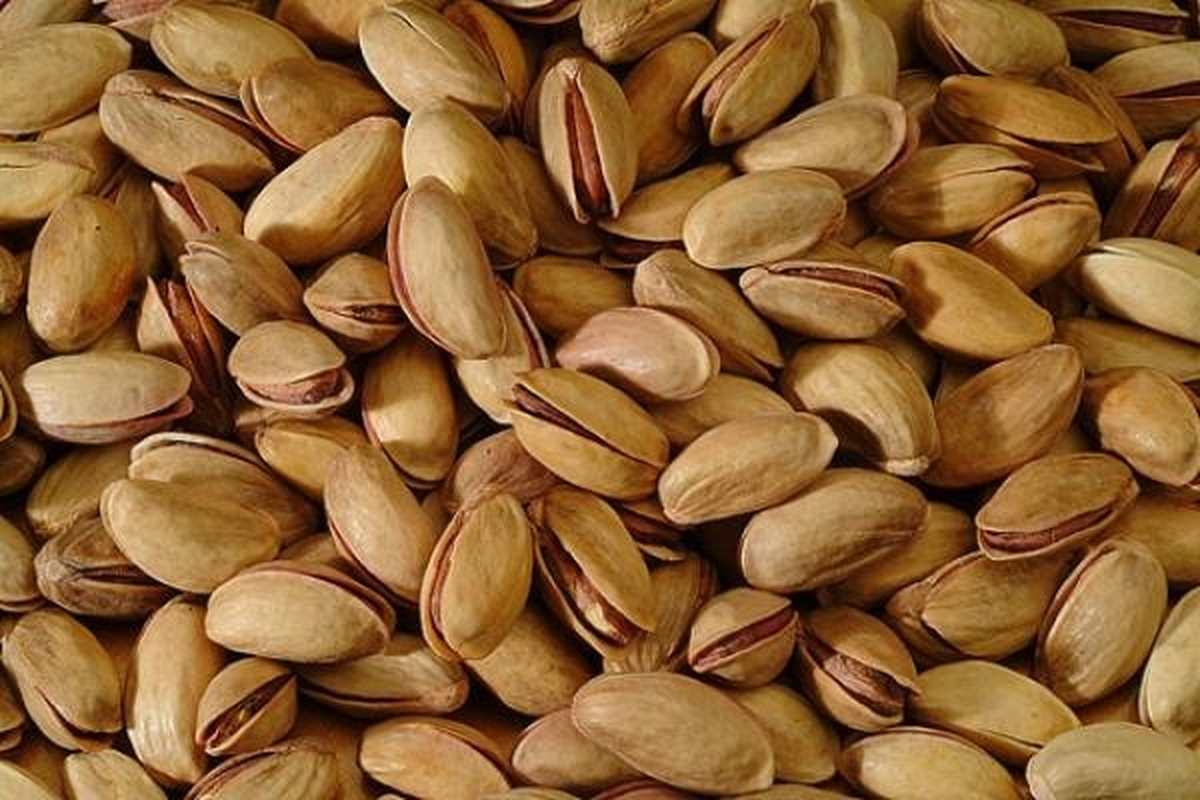 Antep Fıstığı Sorununa Çözüm Aranıyor