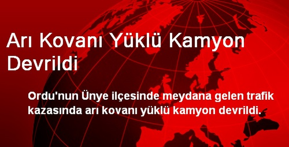 Arı Kovanı Yüklü Kamyon Devrildi