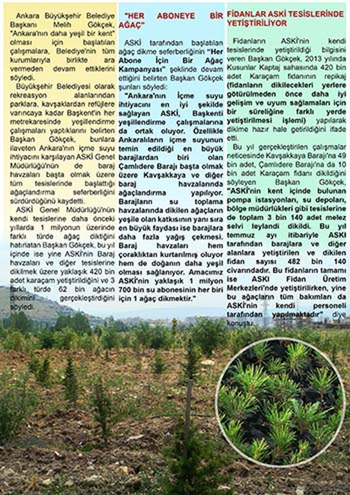 ASKİ\'den Her Abone İçin Bir Ağaç Kampanyası