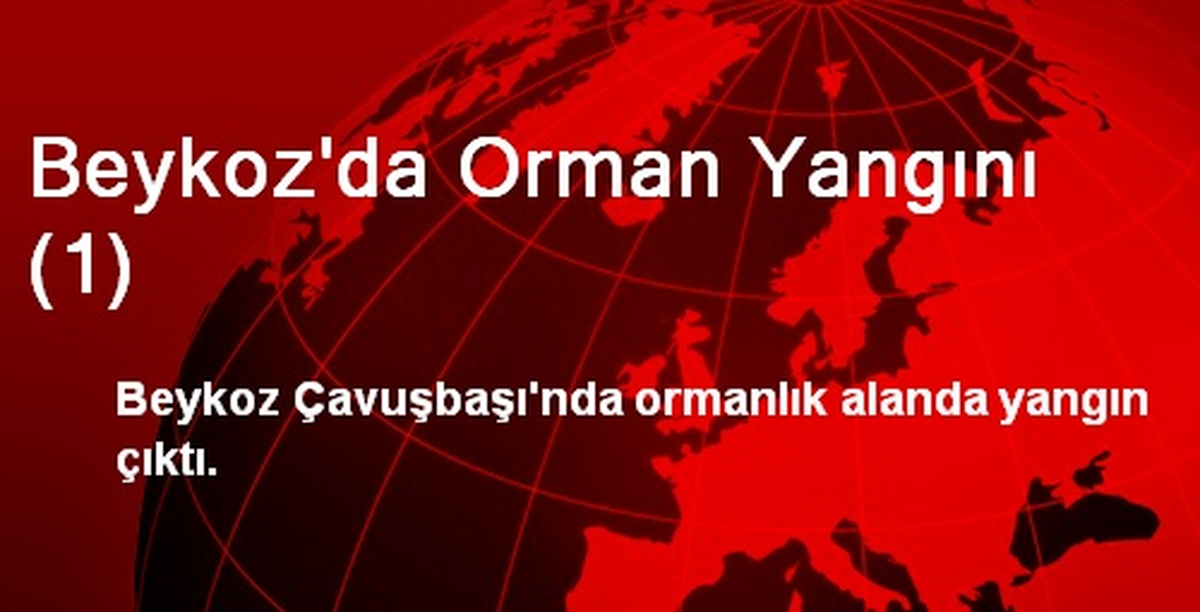 Beykoz\'da Orman Yangını (1)