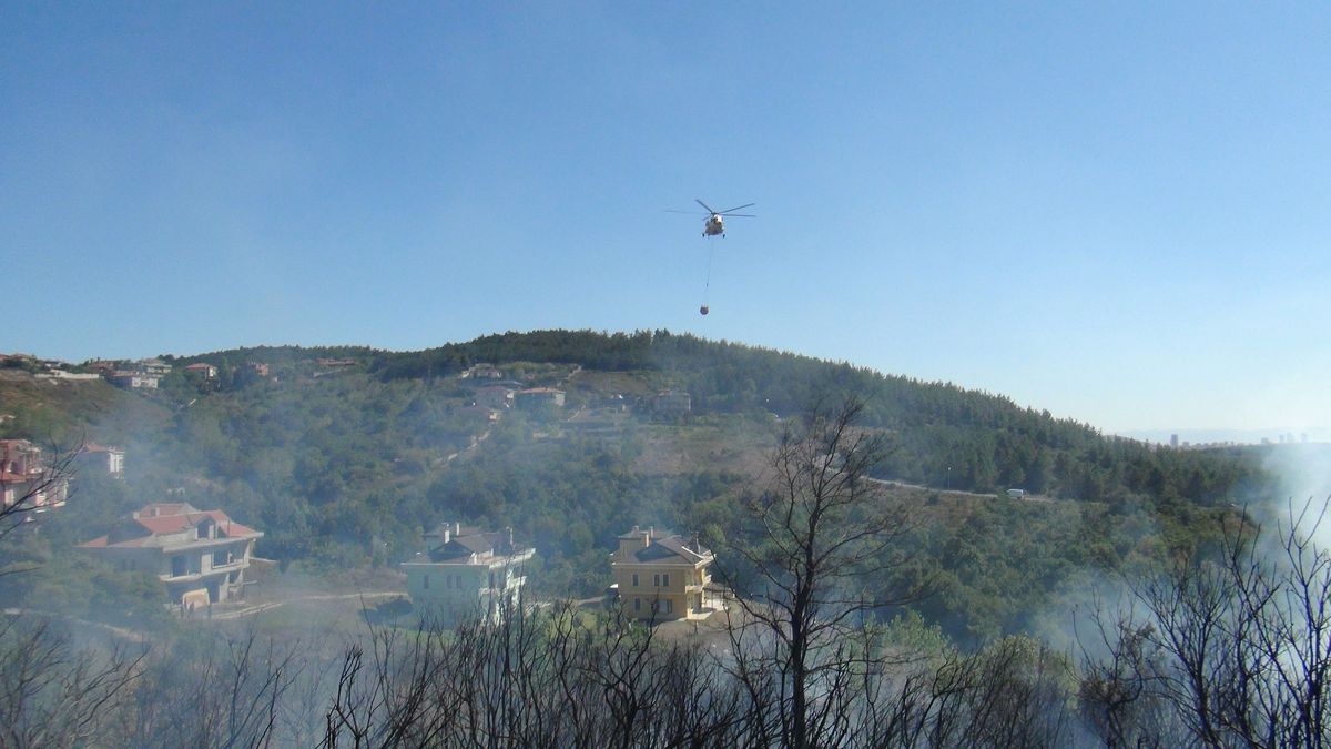 Beykoz\'da Ormanlık Alanda Yangın