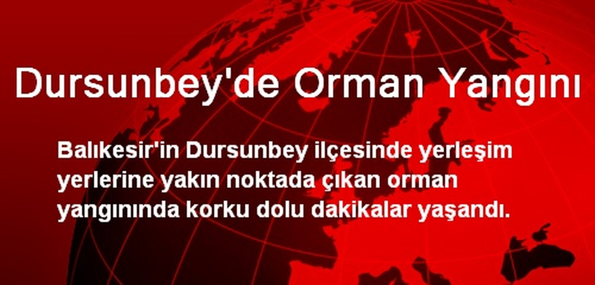 Dursunbey\'de Orman Yangını