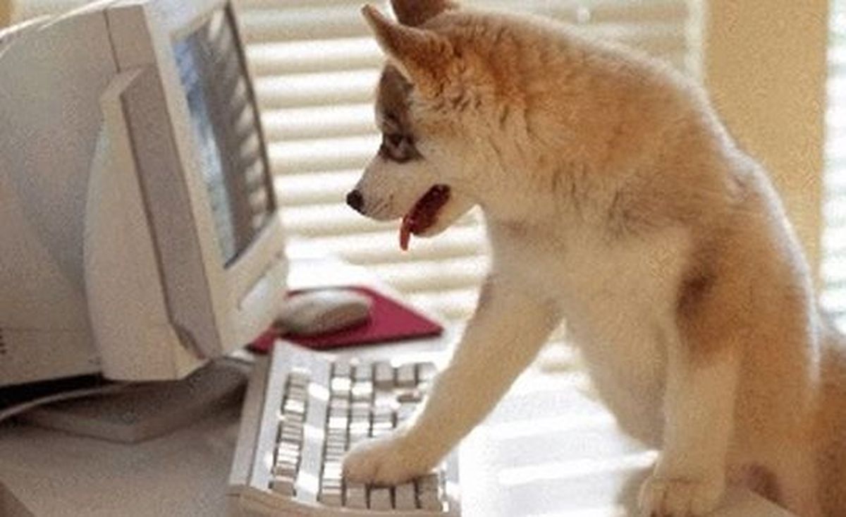Facebook\'taki Kullanıcıların Yüzde 10\'u Gerçek Değil