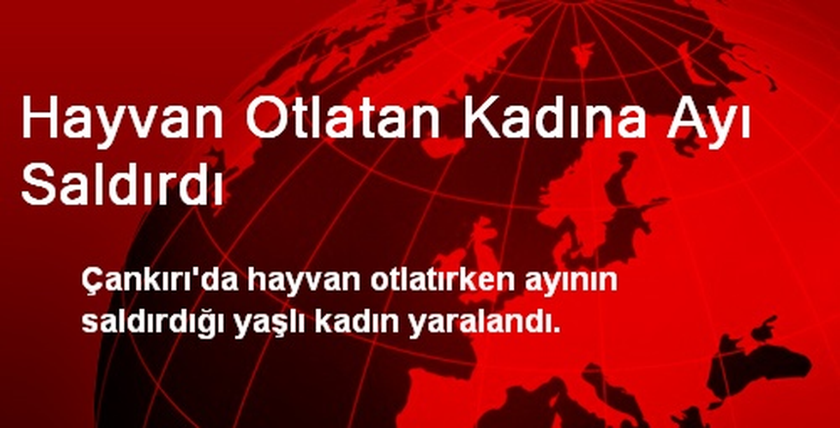 Çankırı\'da Hayvan Otlatan Kadına Ayı Saldırdı