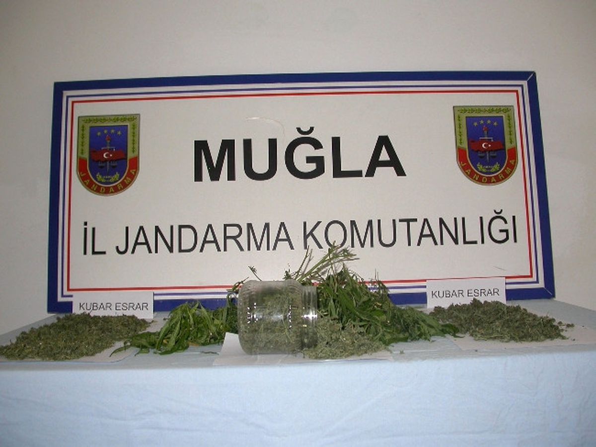 Jandarma\'dan Esrar Operasyonu