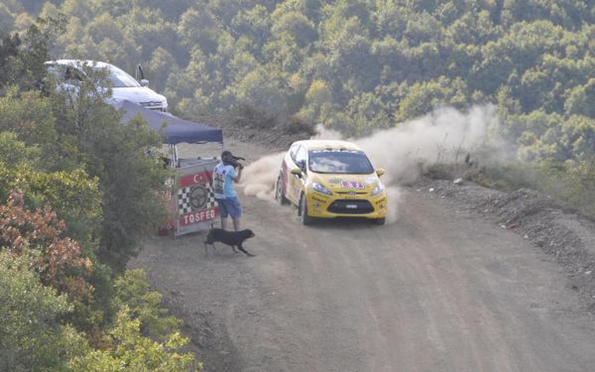 Köpek, Ralli Otomobilinin Önüne Atladı